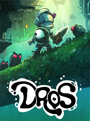  DROS 