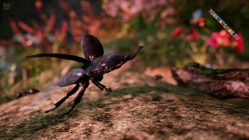 Изображение 3