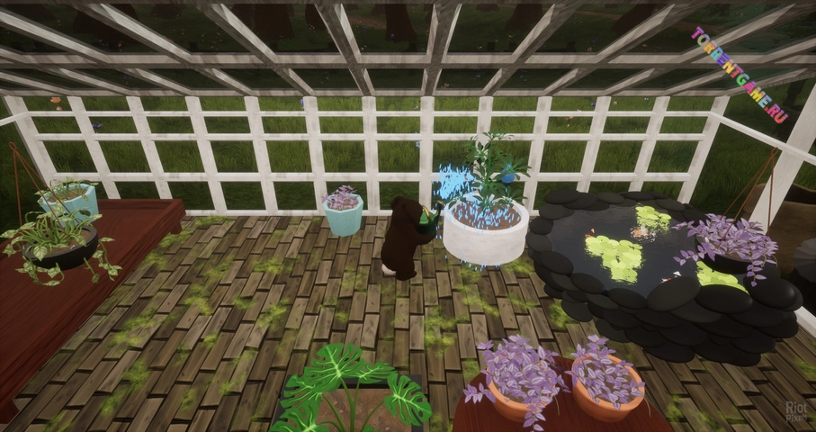 Изображение 4