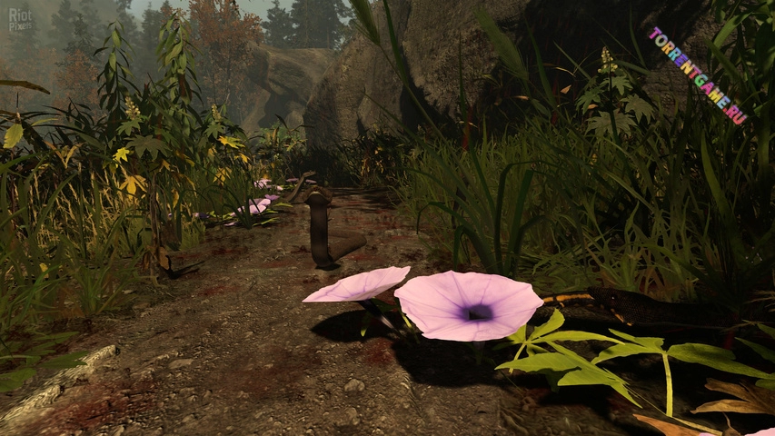 Изображение 4