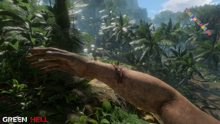 Изображение 3