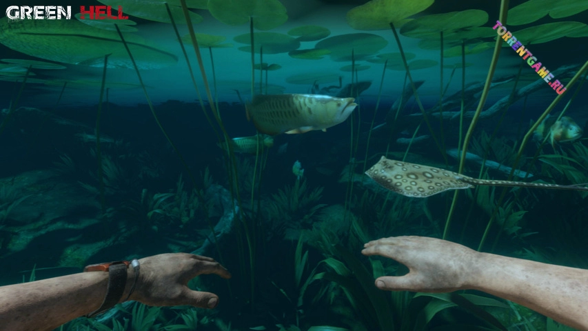 Изображение 4