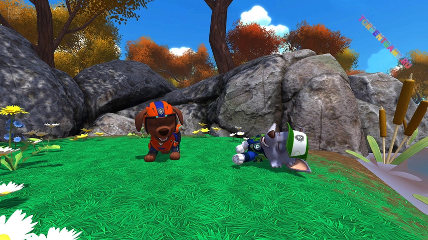 Изображение 1