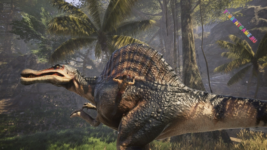 Изображение 3