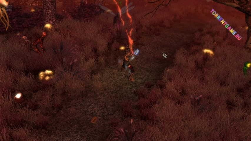 Изображение 4