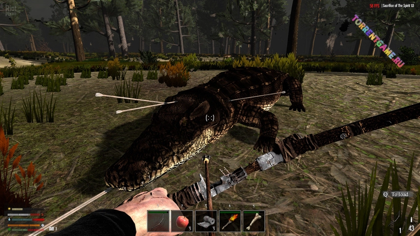 Изображение 4