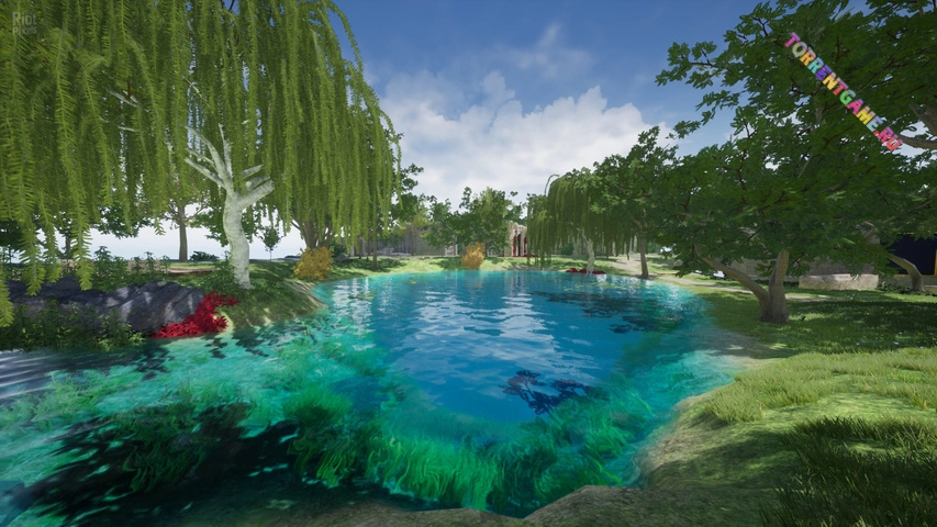 Изображение 3