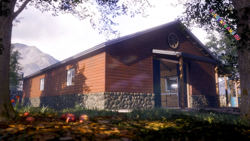 Изображение 1