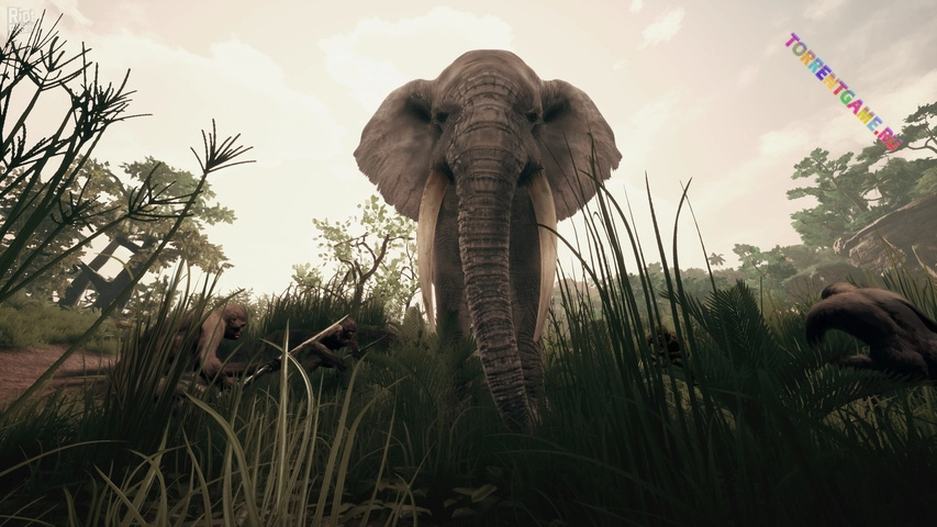 Изображение 4