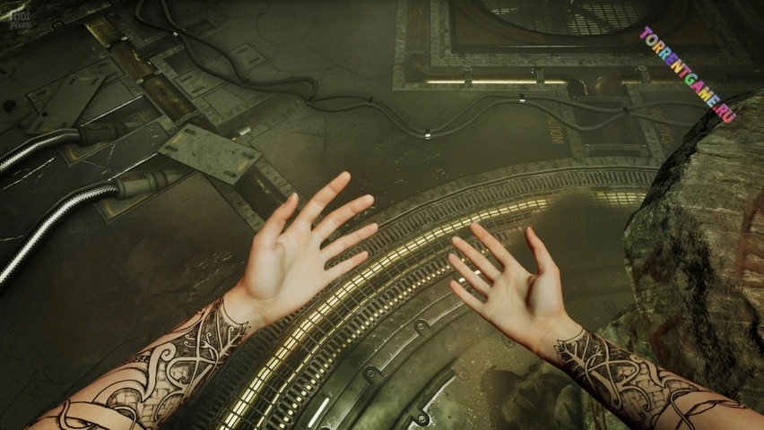 Изображение 3