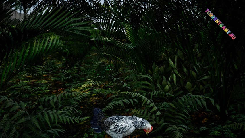 Изображение 2