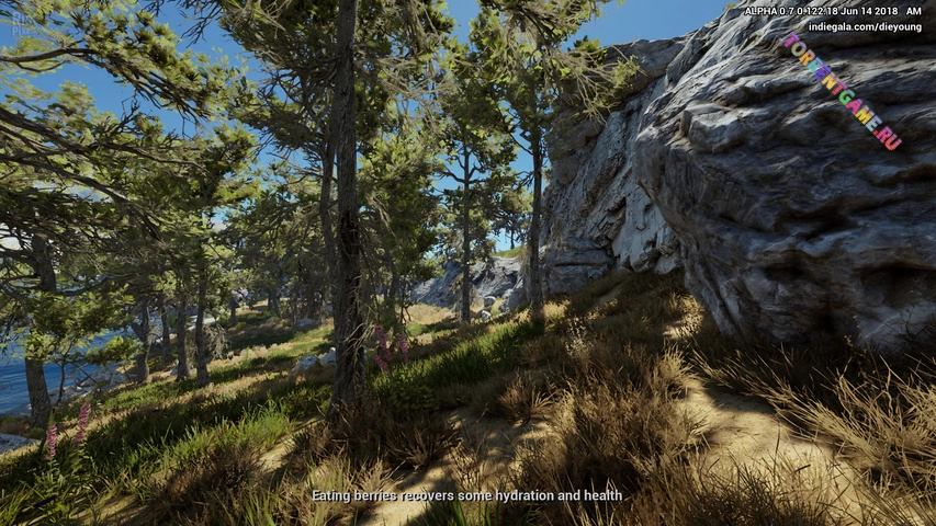 Изображение 4