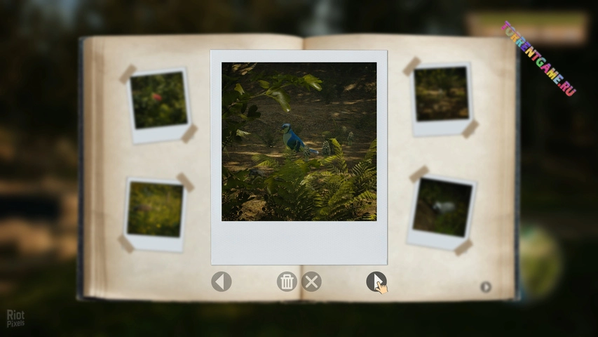 Изображение 2