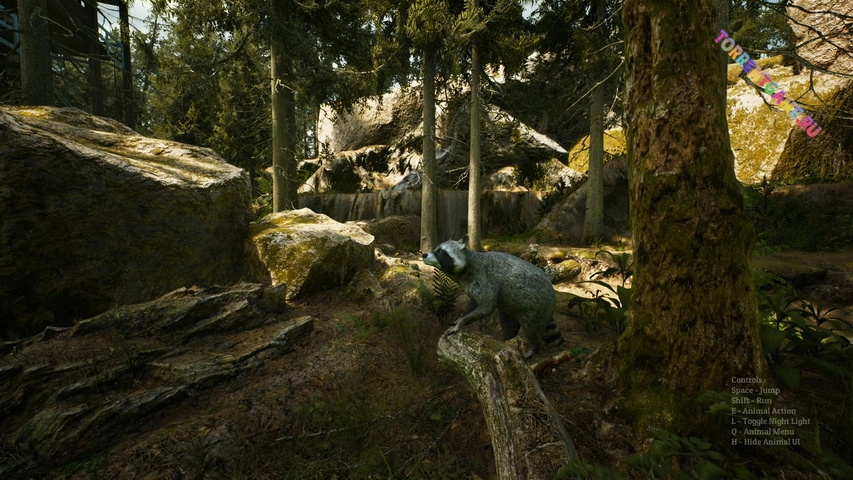 Изображение 3