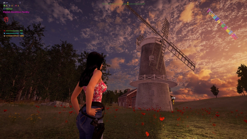 Изображение 2