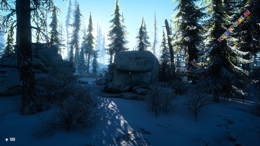 Изображение 2