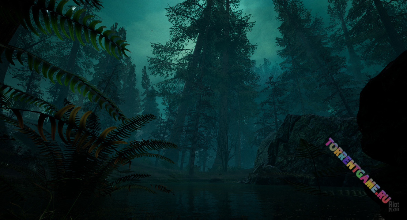 Изображение 4