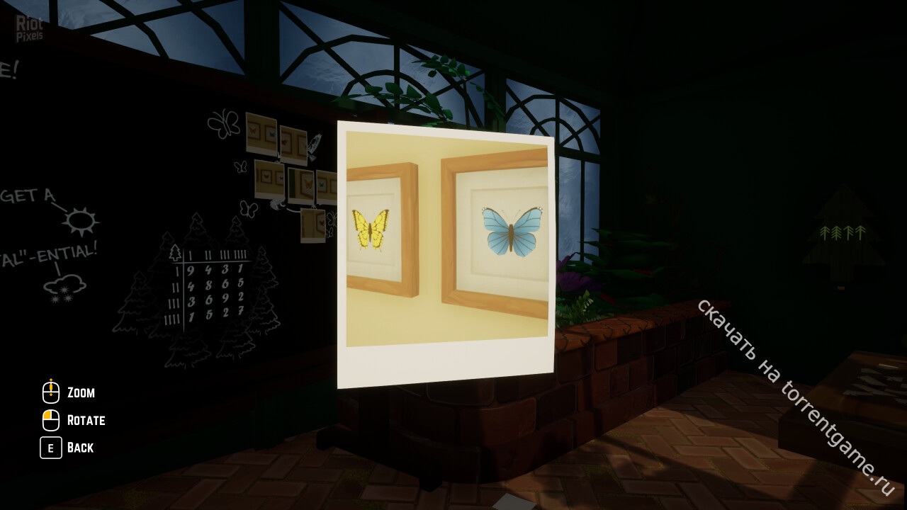 Изображение 1