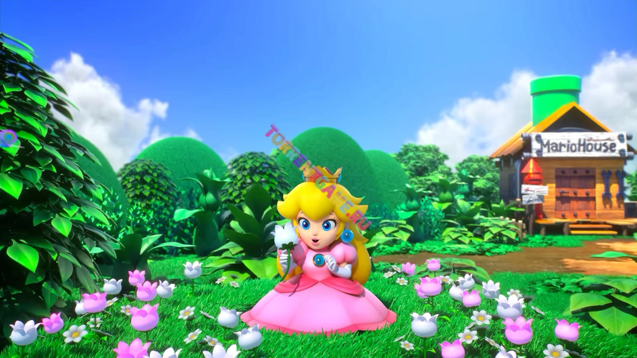 Изображение 1