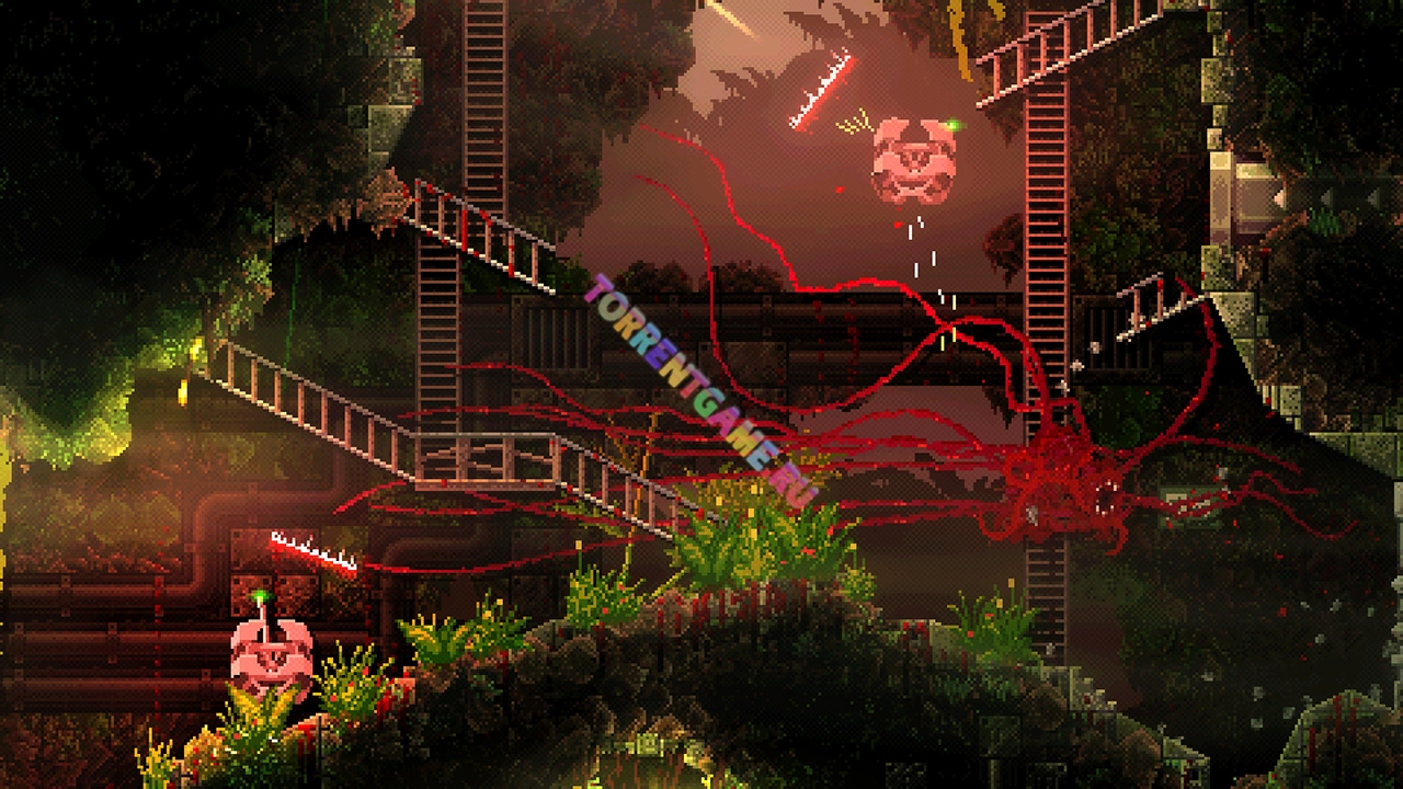 Изображение 3