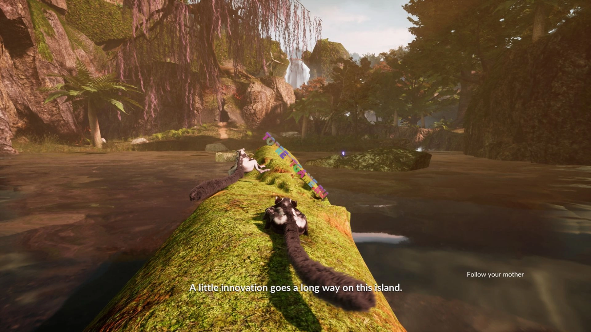 Изображение 6