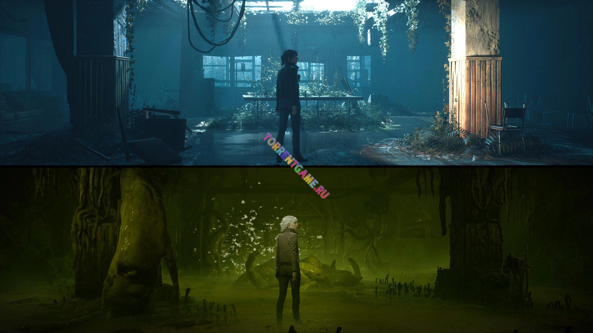 Изображение 6