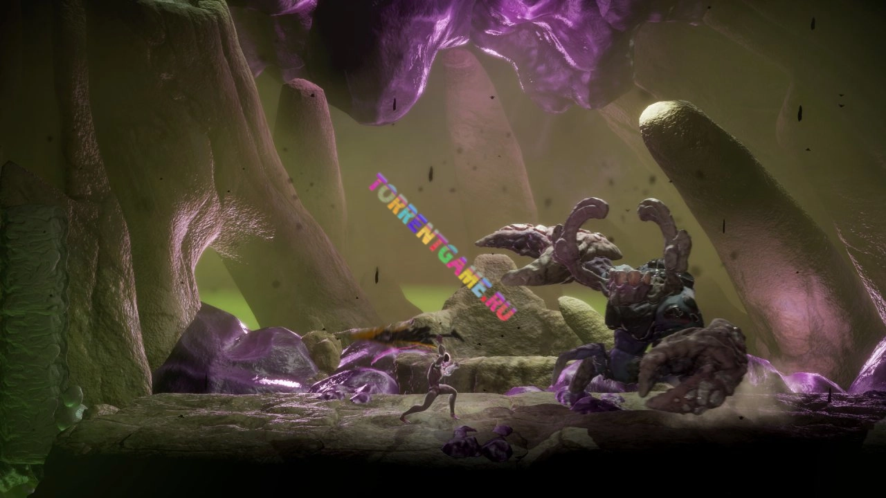 Изображение 3