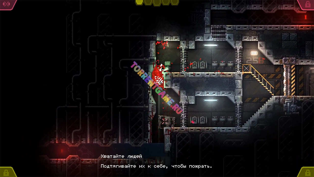 Изображение 5