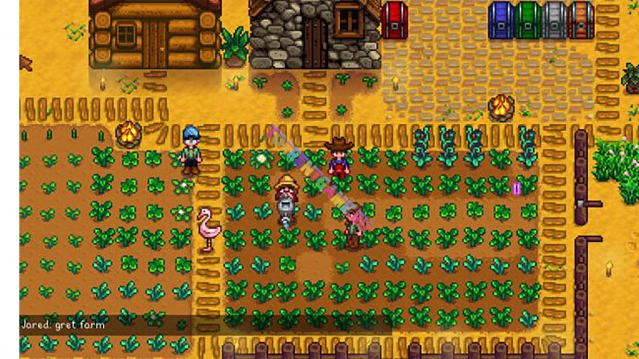 Изображение 2