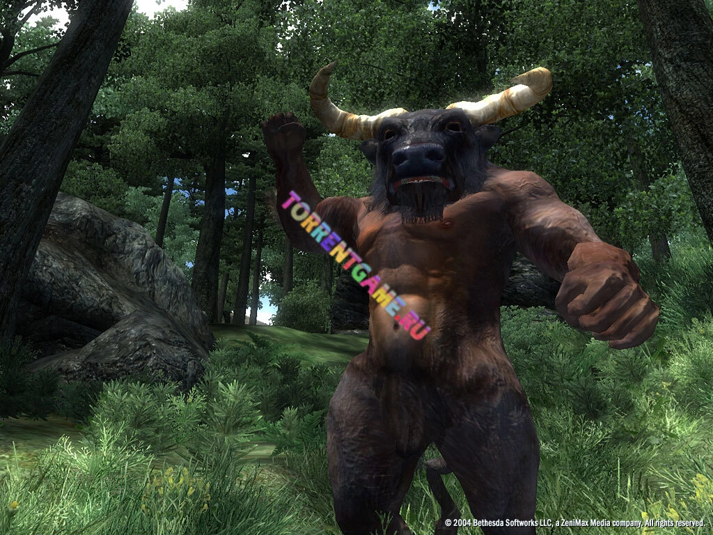 Изображение 3