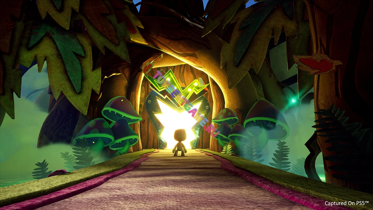 Изображение 4