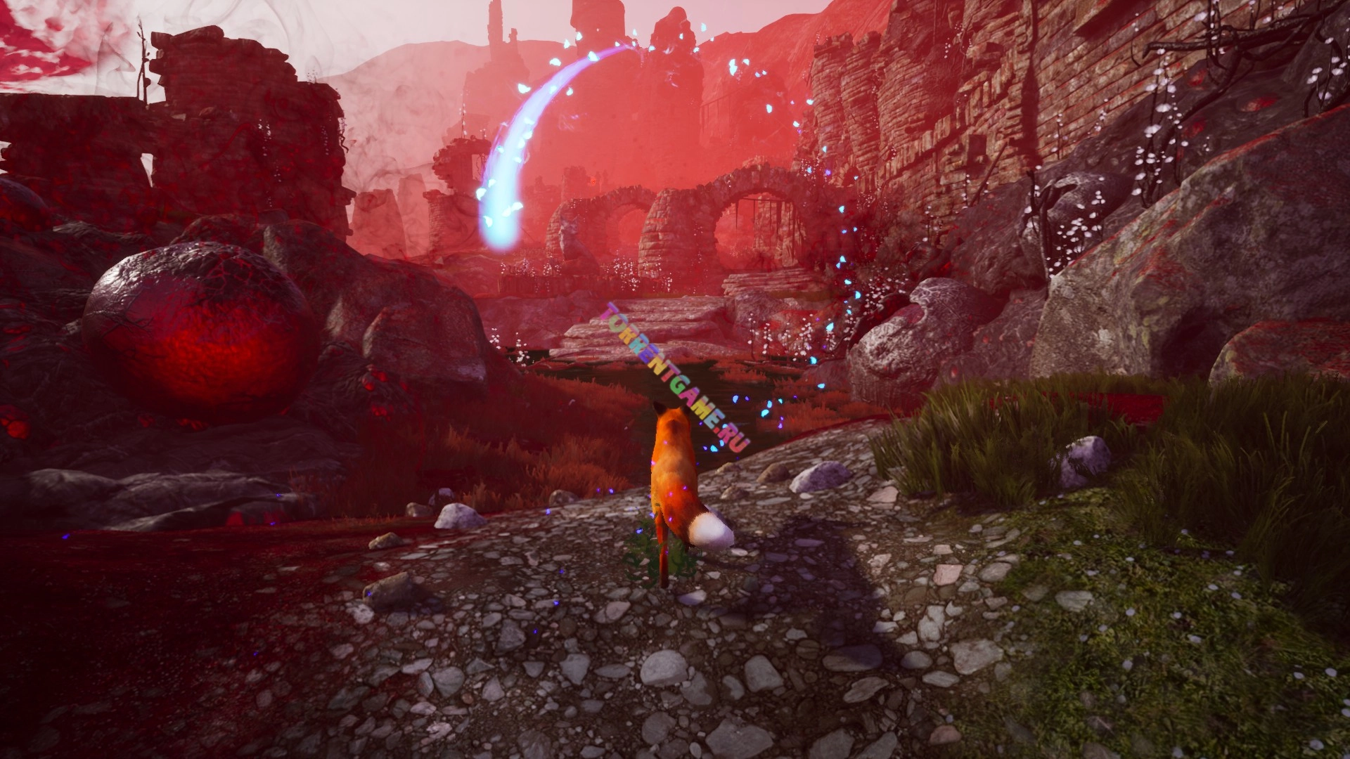 Изображение 6