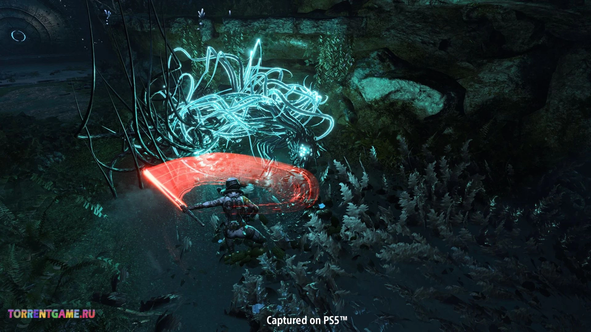 Изображение 6