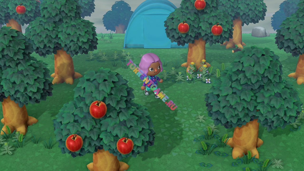 Изображение 5