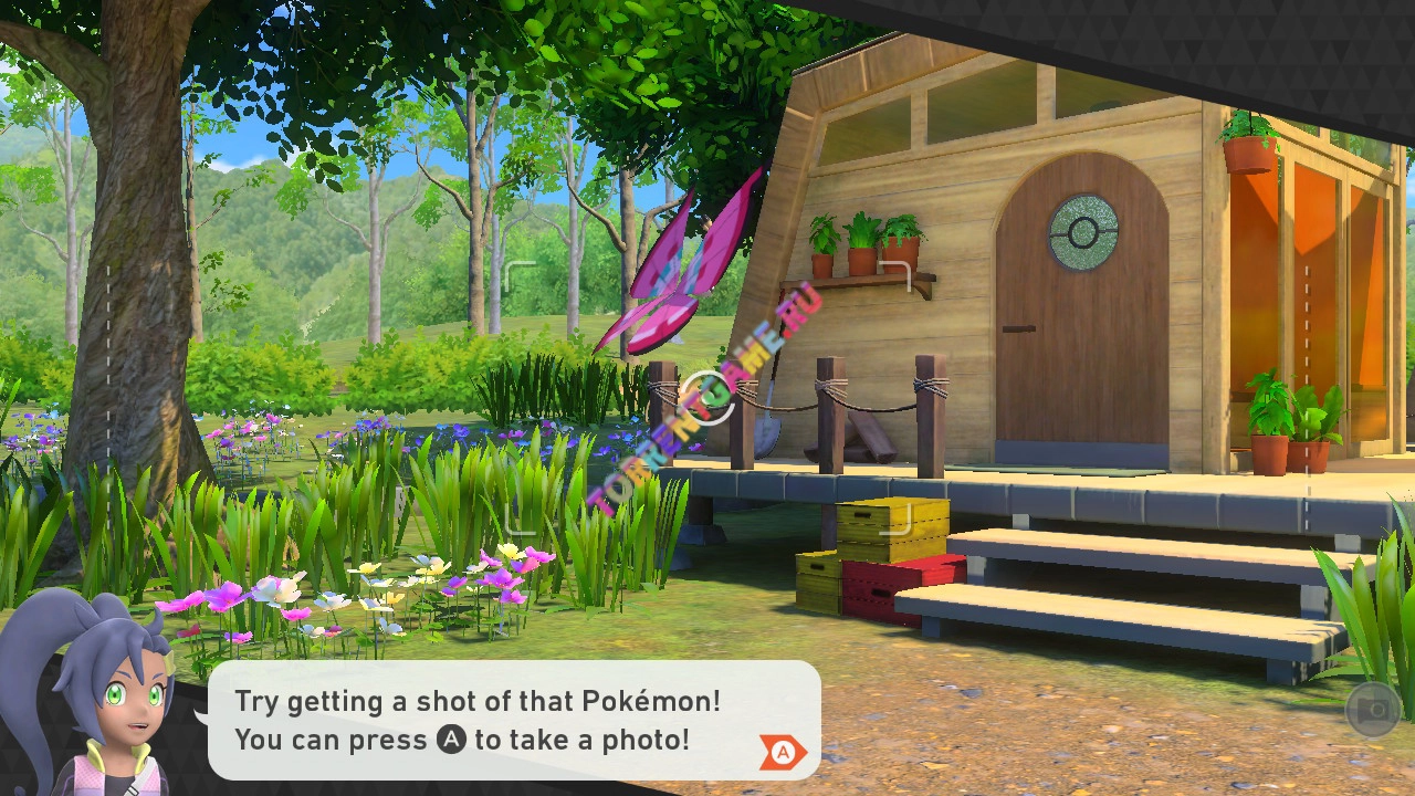 Изображение 3