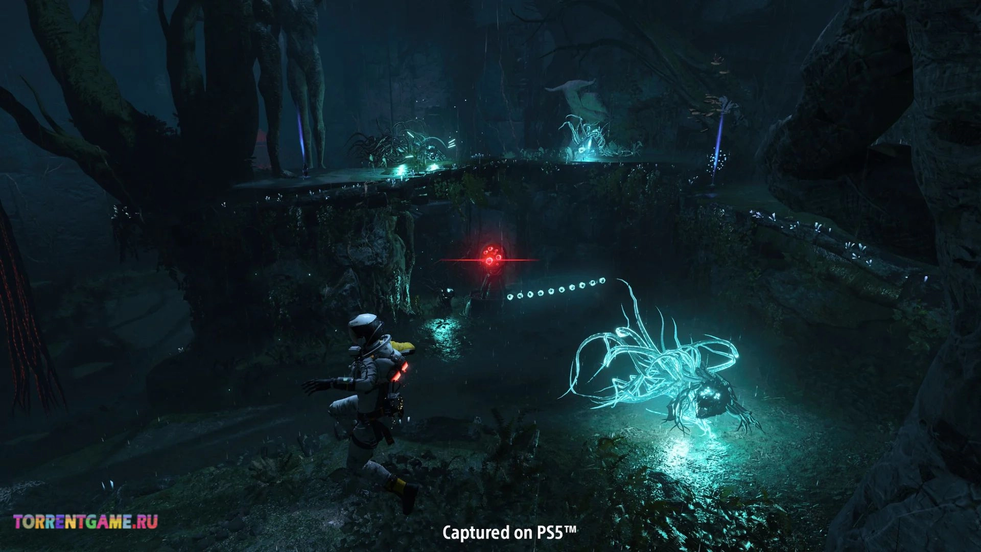 Изображение 5