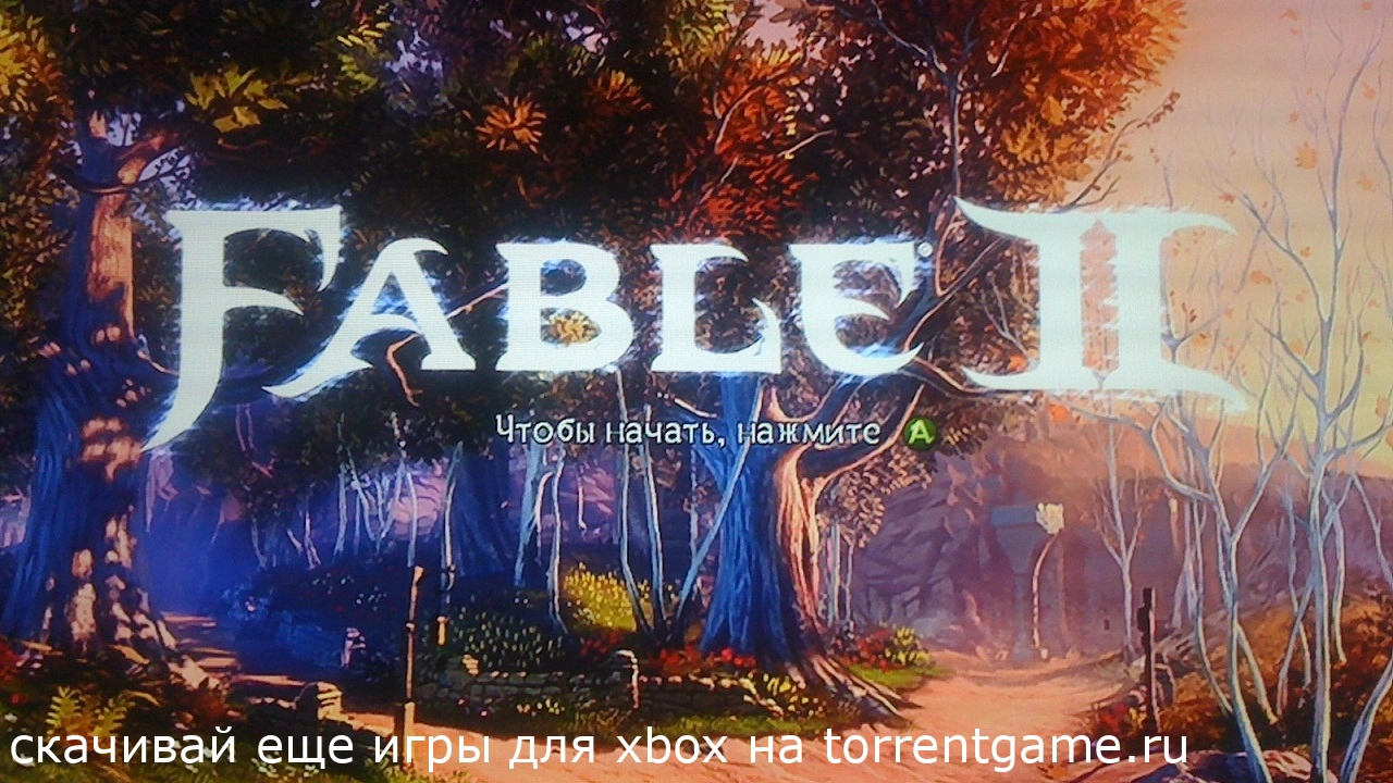 Изображение 3