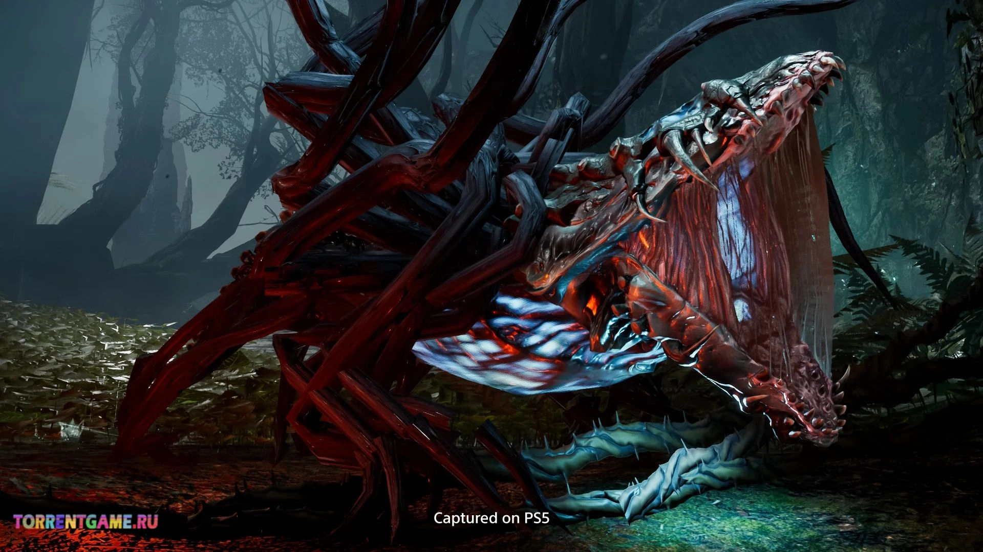 Изображение 2