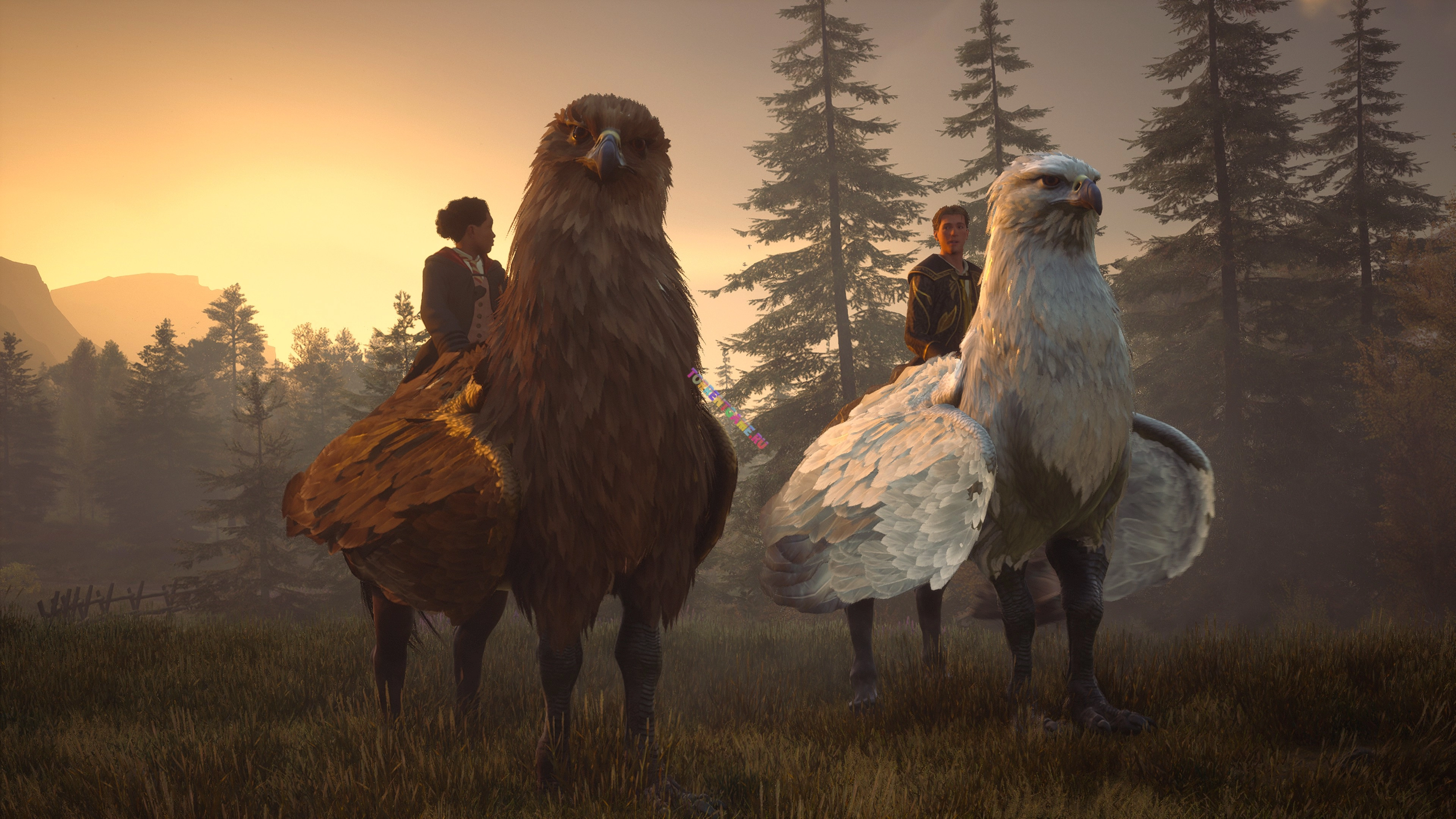 Изображение 3