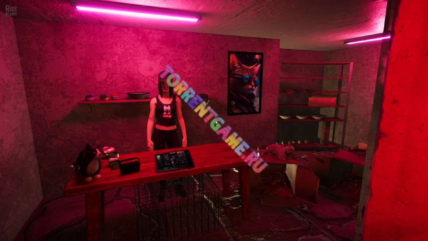 Изображение 5