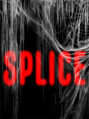  Splice 