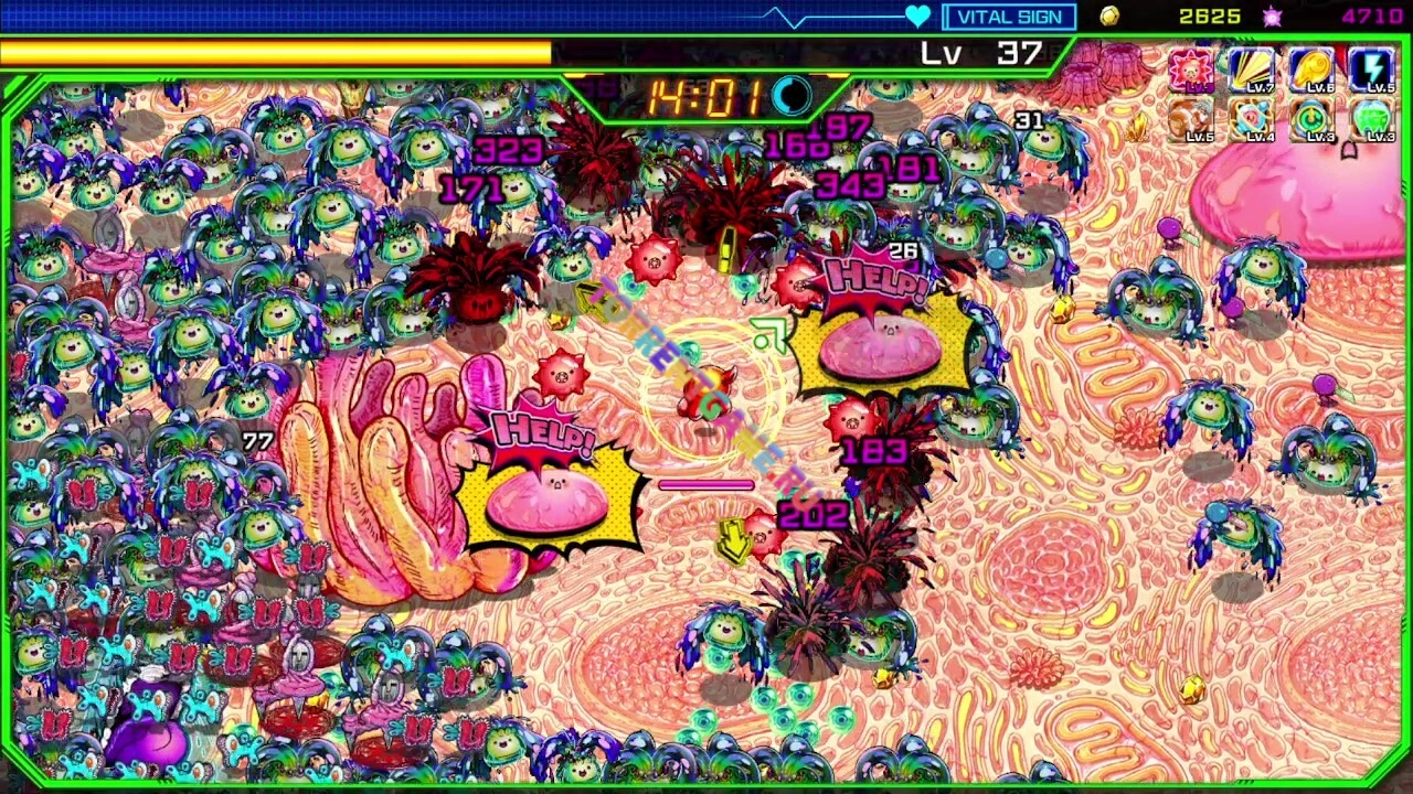 Изображение 1