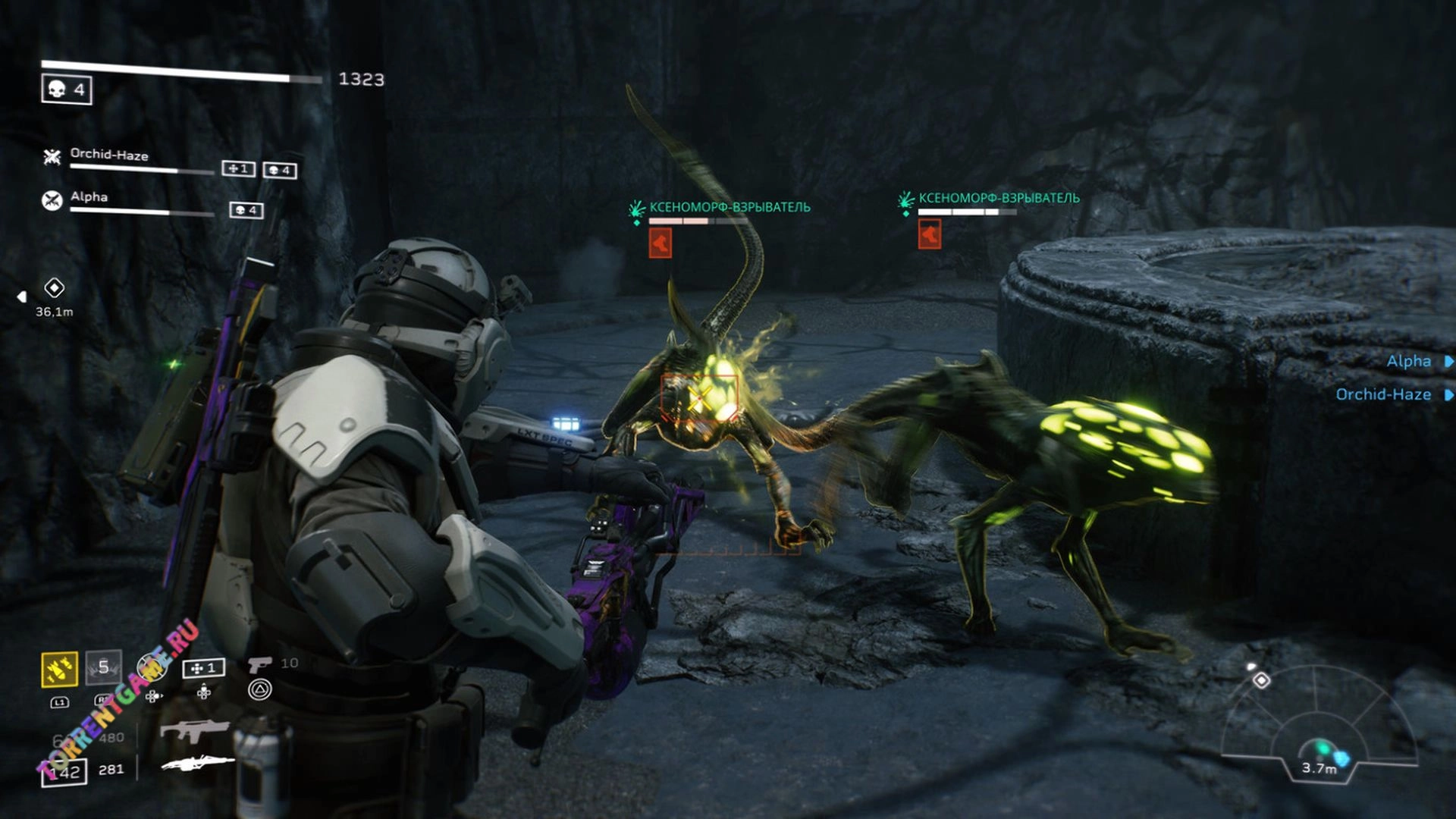 Изображение 2