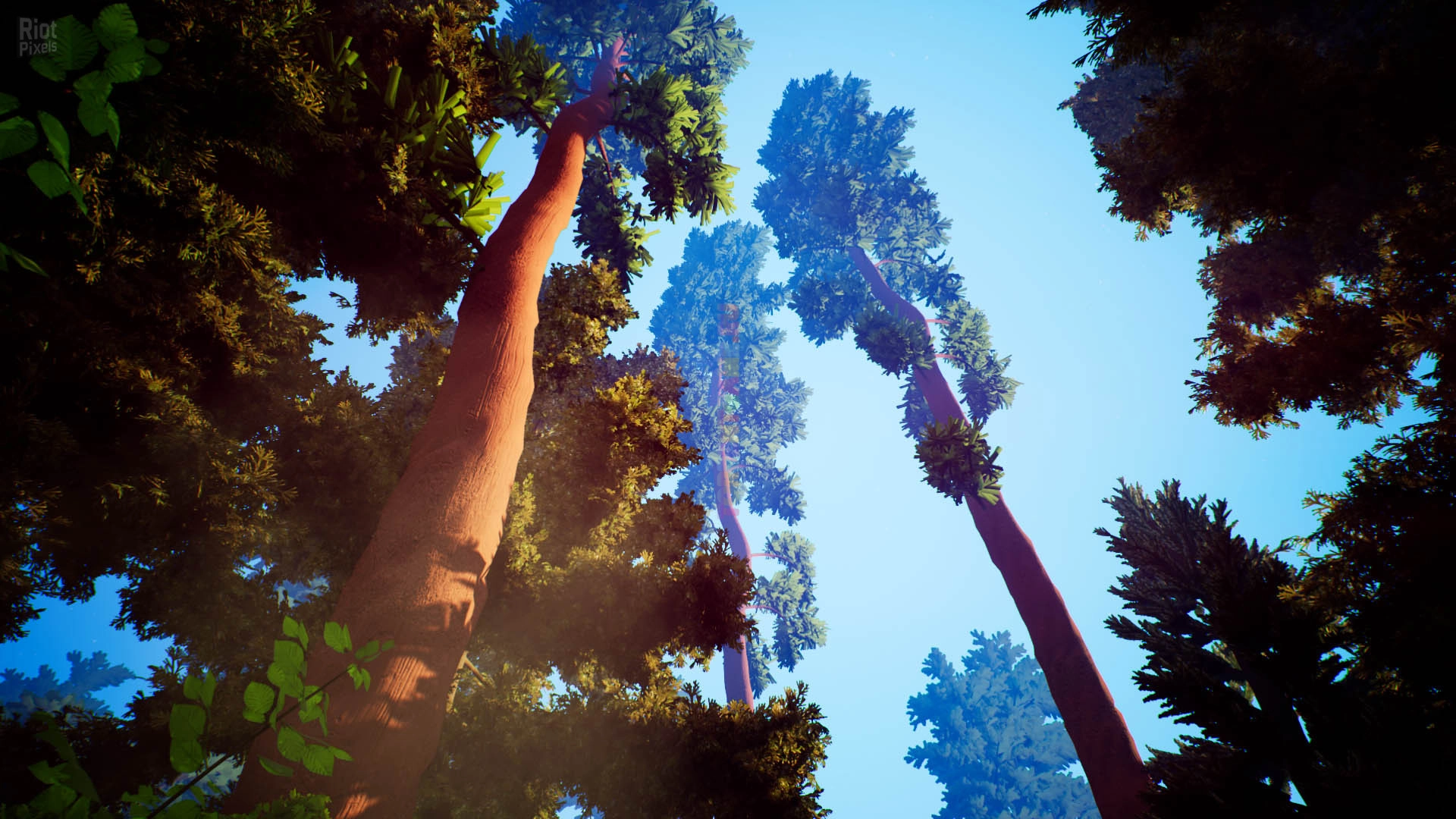 Изображение 7