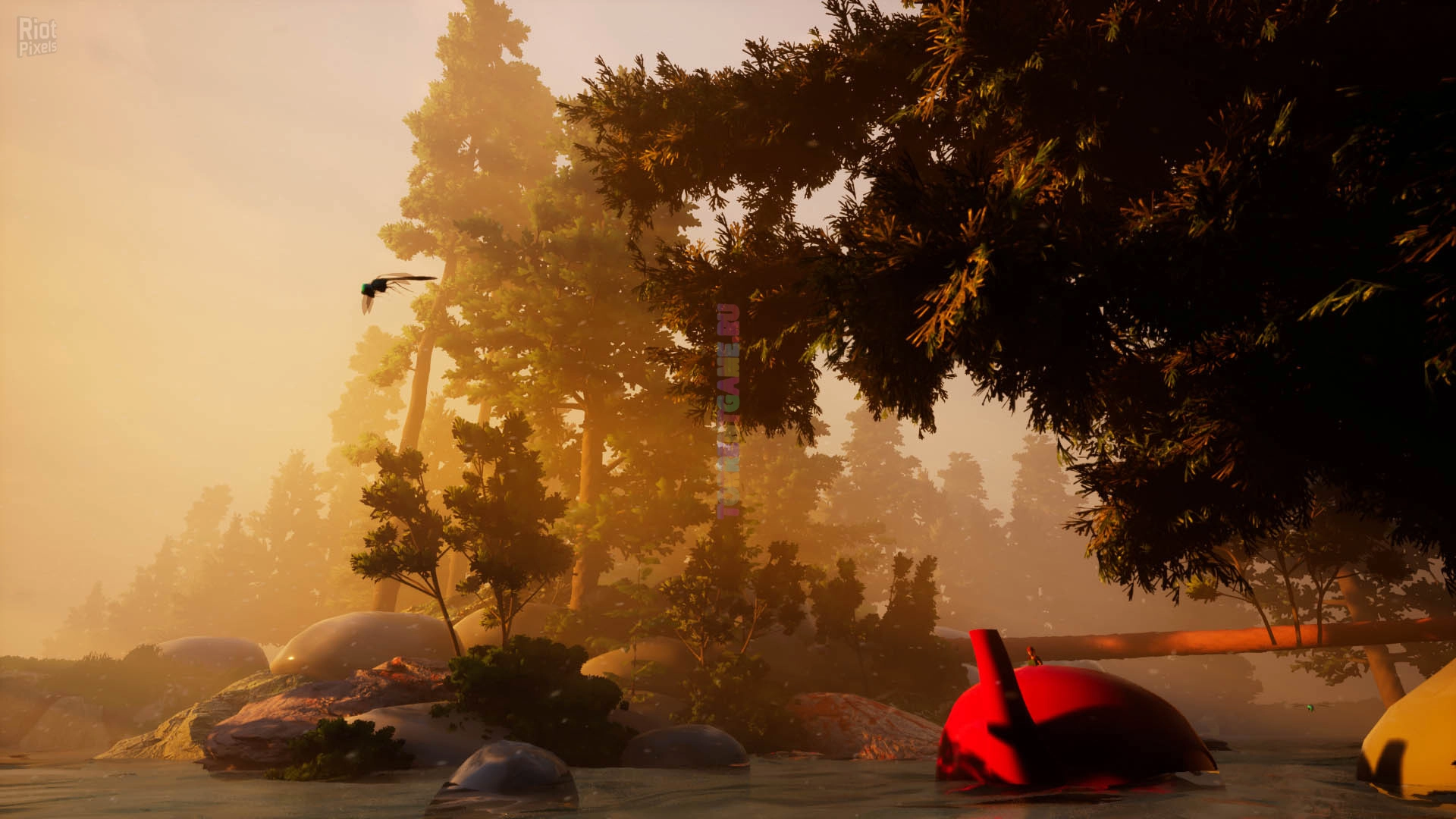 Изображение 6