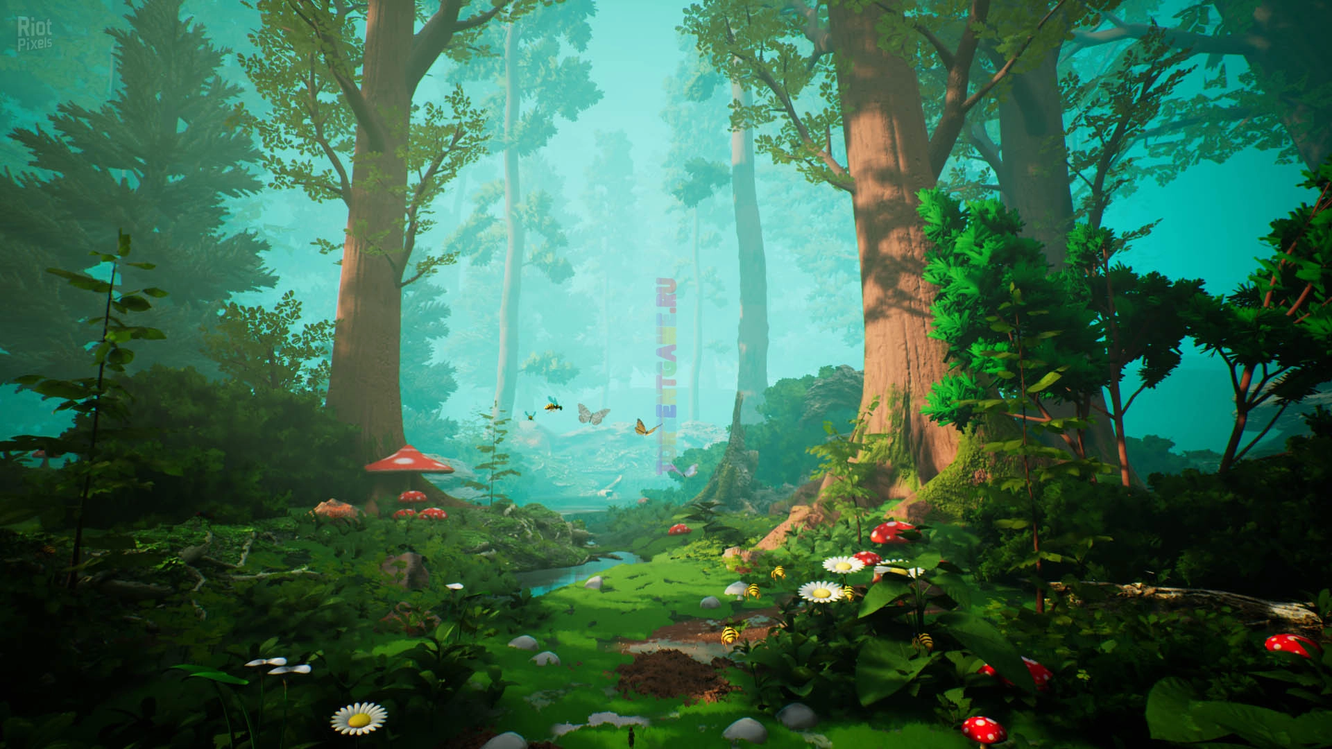 Изображение 5