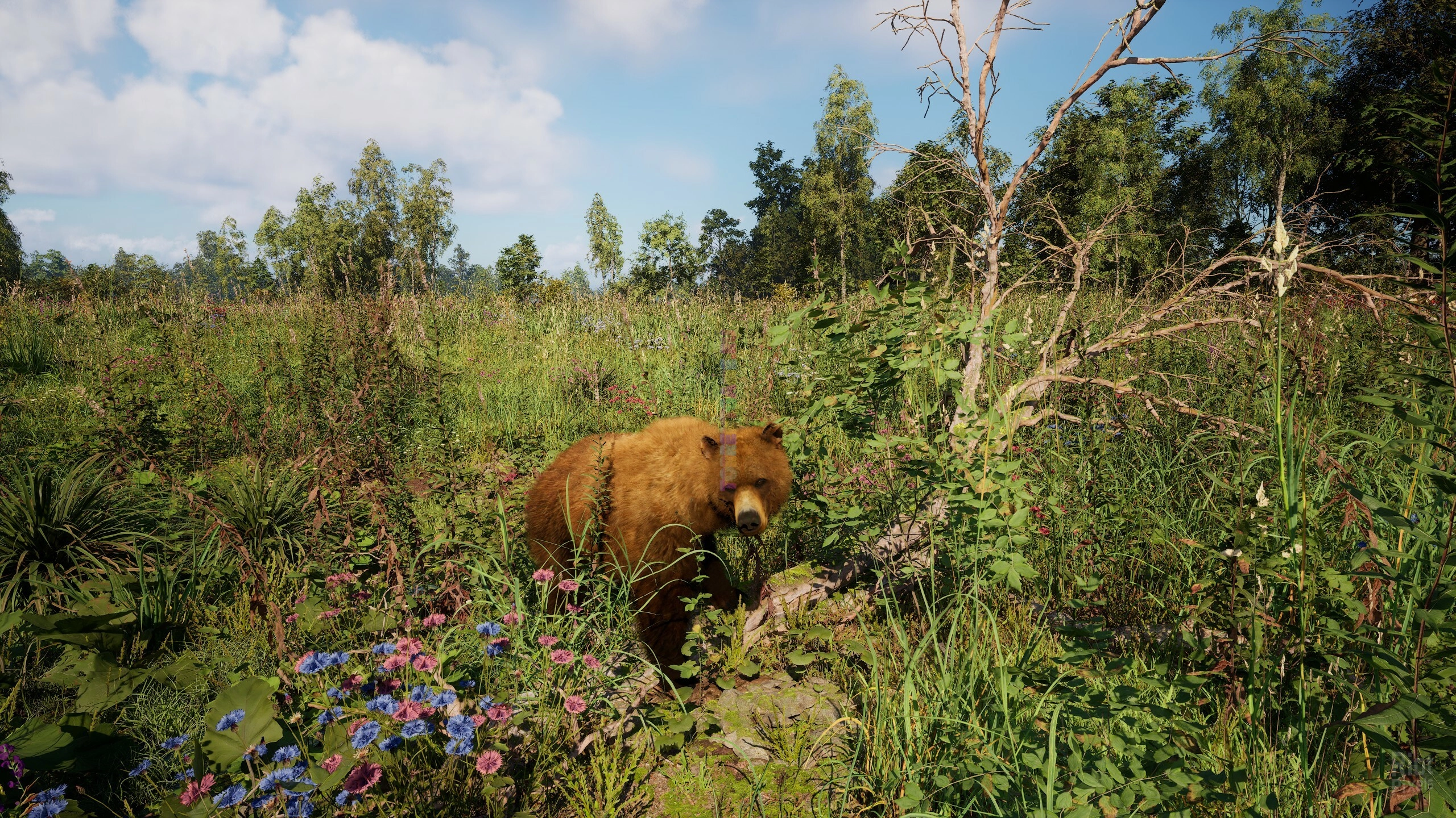 Изображение 2