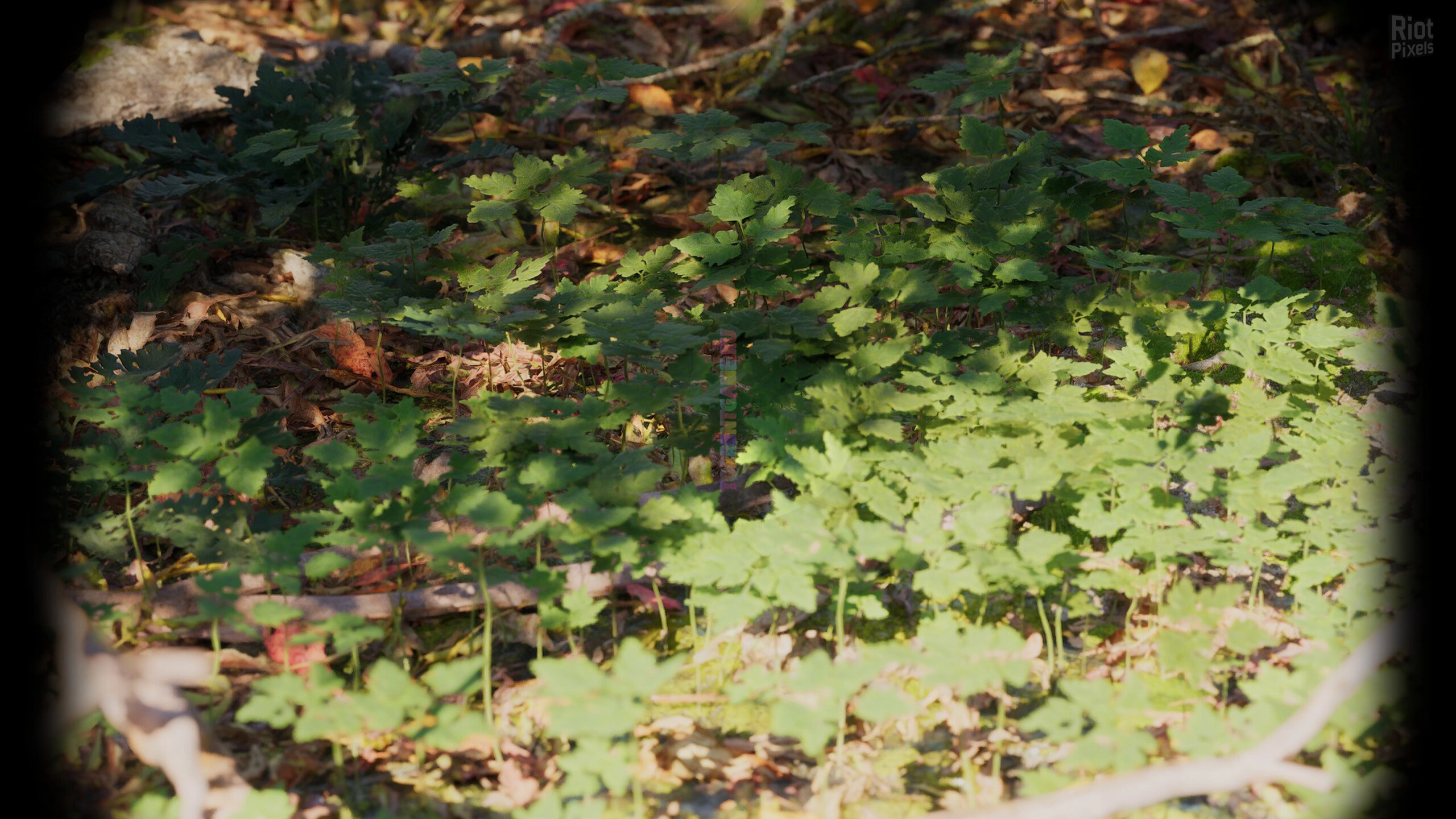 Изображение 7