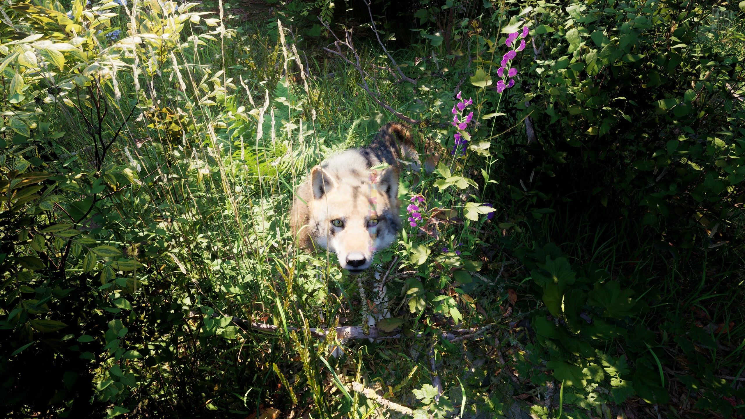 Изображение 8