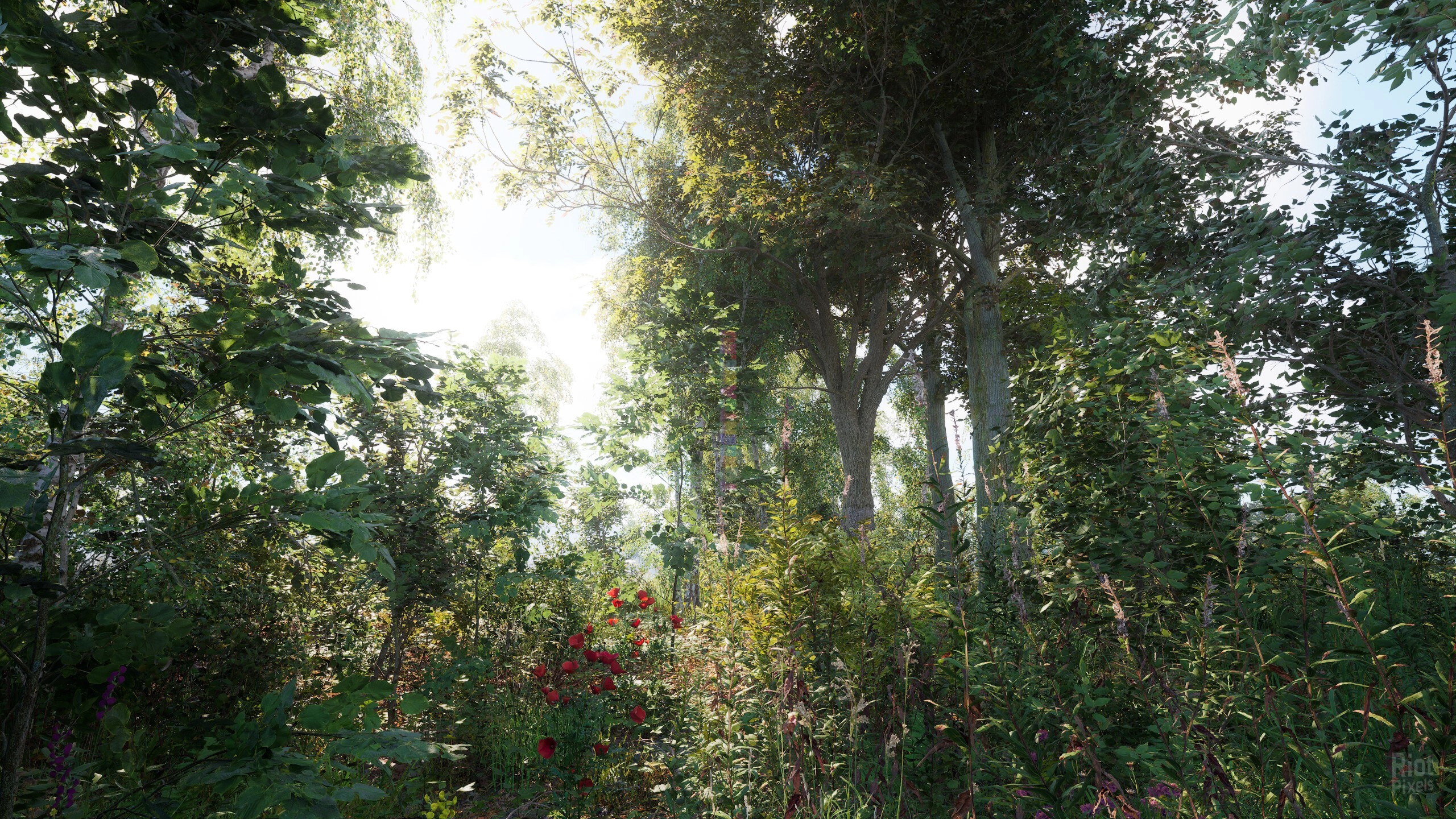 Изображение 9